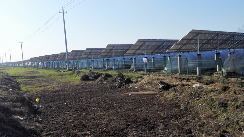 灌南宏耀環(huán)保17MW農光互補光伏發(fā)電項目位于縣經濟開發(fā)區(qū)_江蘇文明網