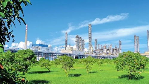 中國(guó)石化打造綠色發(fā)展亮麗名片