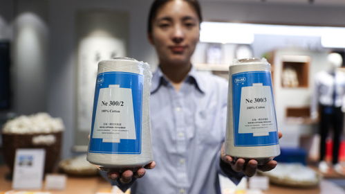 高質(zhì)量發(fā)展調(diào)研行 生產(chǎn)一線看制造企業(yè) 智改數(shù)轉(zhuǎn)網(wǎng)聯(lián)